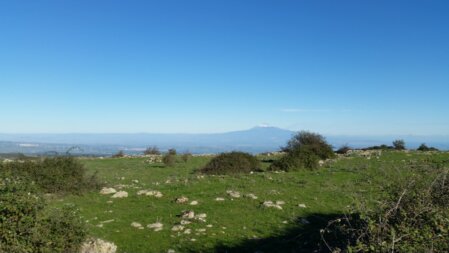 Wanderpfad auf Kalkplateau im Naturpark Iblei